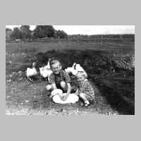  - 081-0037 Reinlacken 1942 - Guenther Reimann und Schwester Renate Schulz mit den Gaensen auf der Wiese_t
